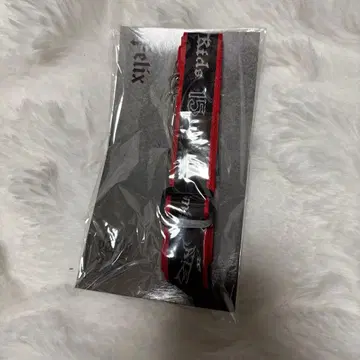 straykids 스키즈 dominATE 넥스트랩 필릭스