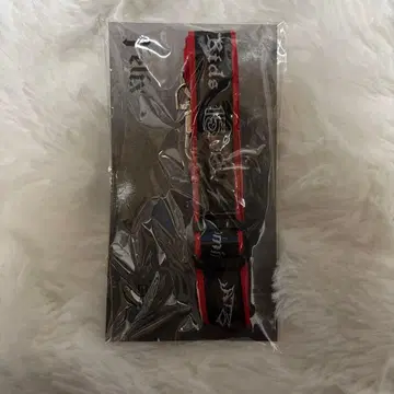 straykids 스키즈 dominATE 넥스트랩 필릭스