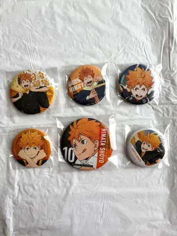 히나타 쇼요 캔뱃지 6개 세트