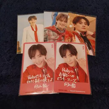 SHOW-WA 무카이야마 타케시 트레이딩 카드 TT 카드 세트