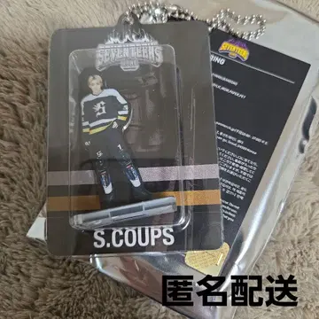 SEVENTEEN HOME 2025 아크릴 키링 에스쿱스