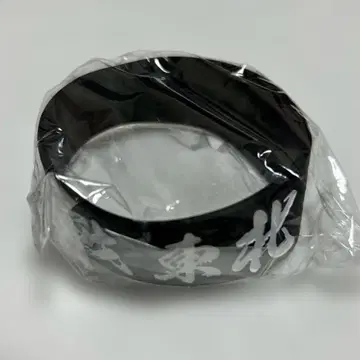 도호쿠 라이브 하우스 대작전 러버 밴드