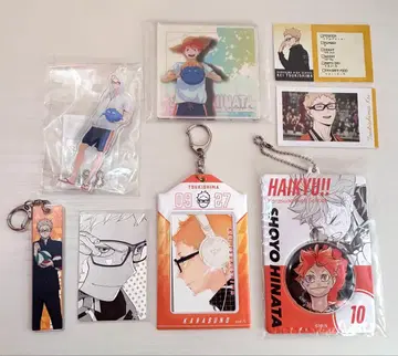 하이큐 굿즈 츠키시마 케이 히나타 쇼요