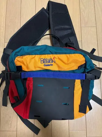 DANA DESIGN 갈라틴 바디백
