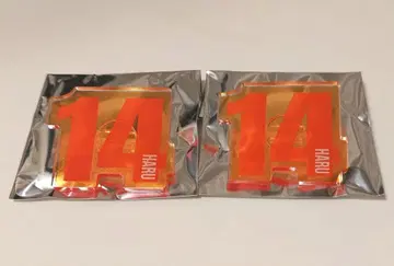 [ 2개 세트 ] 초특급 응원봉 액세서리 하루