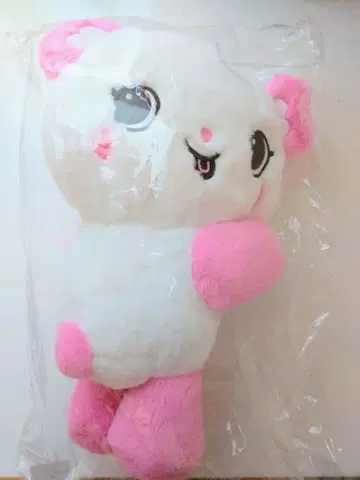 미개봉 새상품 사쿠야 팬라이트 백 빵 로그인 서울 nctwish