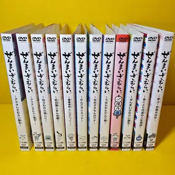 DVD 12개 세트