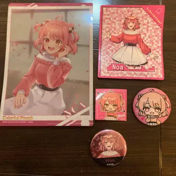 컬러풀피치 노아