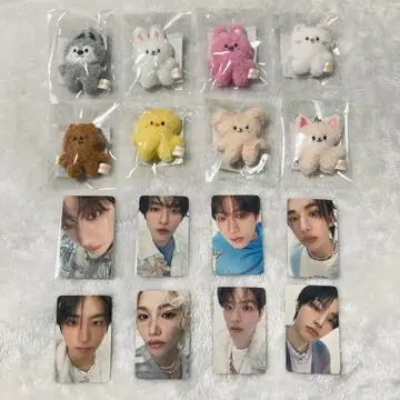 skzoo 마이크로 키링 micro ver 울프 찬 리빗 외