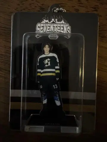 SEVENTEENS HOME 아크릴 키링 DINO