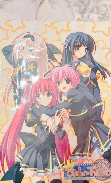 스텔라 극장 쇼핑백 종이 봉투