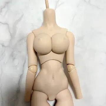 돌피드림 L 가슴 프레쉬 피부 여성 본체 1/3 스케일