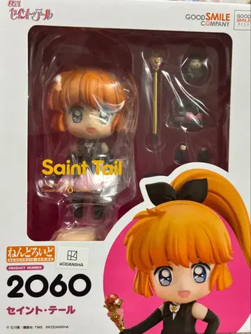 괴도 세인트 테일 2060