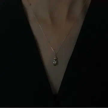 minami jewelry torso 목걸이 실버