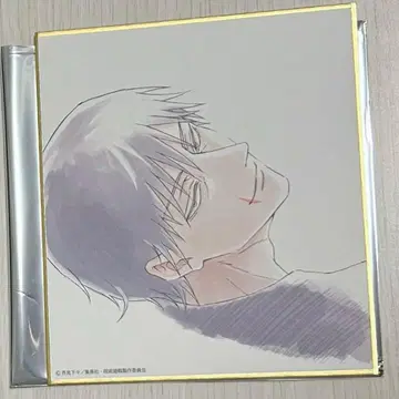 주술회전전 주술회전 시부야 사변 회옥 옥절 색지 후시구로 진지