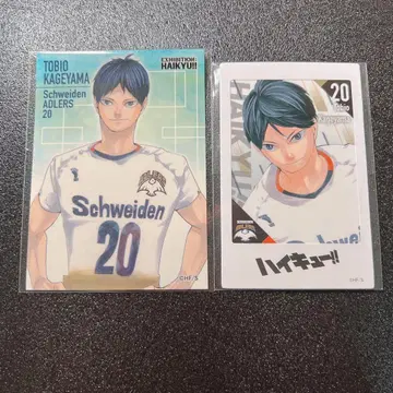 하이큐 파워 카레 스티커 & 크런치 포토 카드 카게야마 토비오