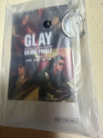 GLAY EXPO GRAND FINALE 오리지널 멀티 케이스만
