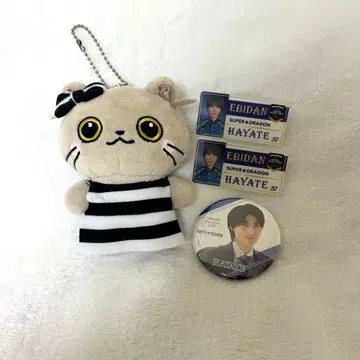 이이지마 하야테 생일 굿즈 히메짱 봉제 인형