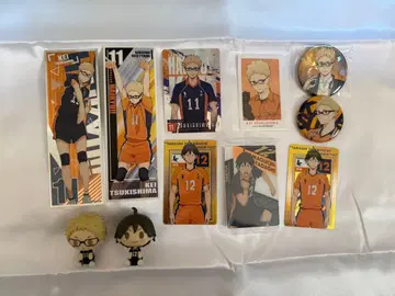 츠키시마 케이 야마구치 타다시 피규어 카드 배지 세트