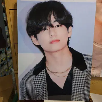 BTS 태태 마스터 액자 A2