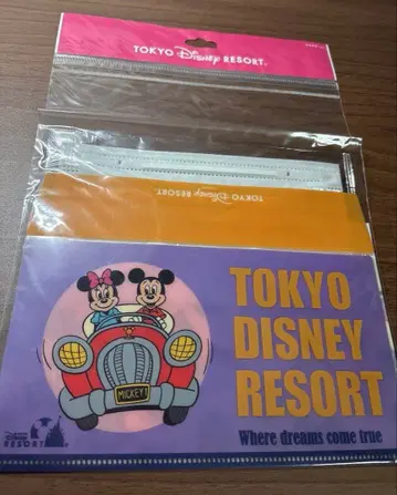 디즈니 마스크 케이스