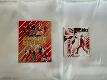 하이큐!! 후쿠나가 아크릴 스탠드 컬렉션