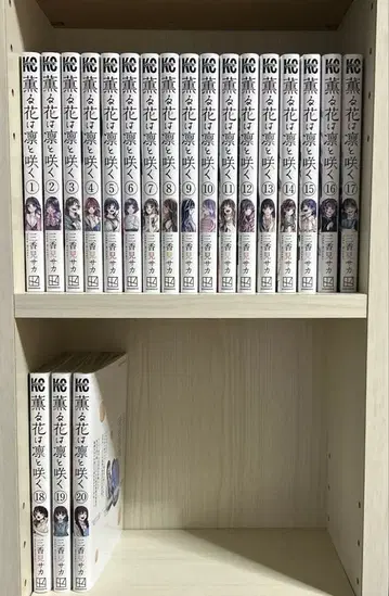 전권 세트 1~20권