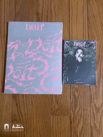 straykid DO IT 일반ver accordion 미사용 새상품