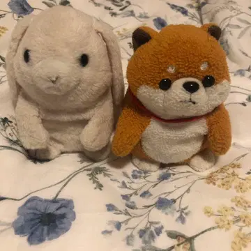 타카라토미아츠 미미크리 반려동물 롭이어 와견