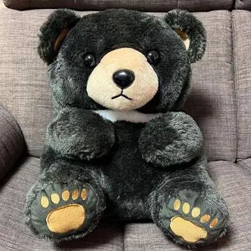 곰 봉제 인형 블랙 블랙