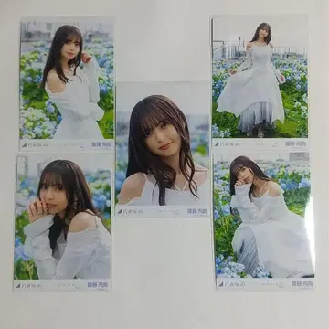 사이토 아스카 여기에는 없는 것 브로마이드 5종 컴프 노기자카46