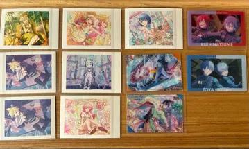 프로세카 에피카 파샤코레 등 묶음 판매