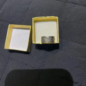 가면라이더 W WIND SCALE 반지