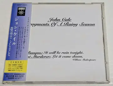 존 케일 추억의 비 오는 날들 CD 존 케일