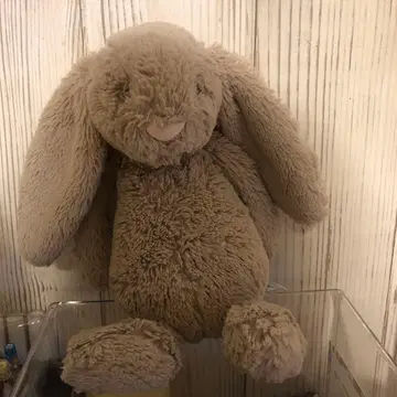 Jellycat 베이지 토끼 봉제 인형