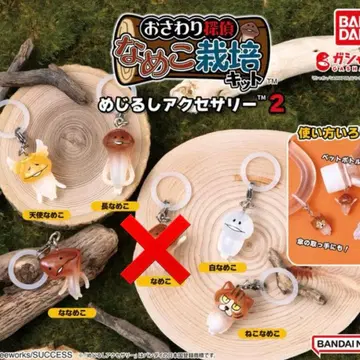 오사와리 탐정 나메코 재배 메지루시 액세서리 2 세미 컴프