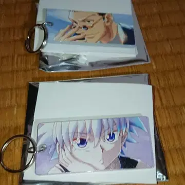 HUNTER x HUNTER 키루아 레오리오