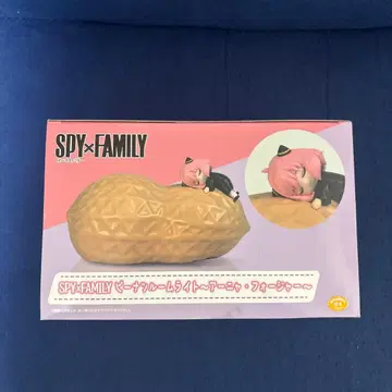 아냐 룸 라이트