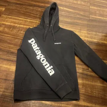 Patagonia 후드티
