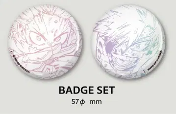 BUMP OF CHICKEN I 히로아카 배지