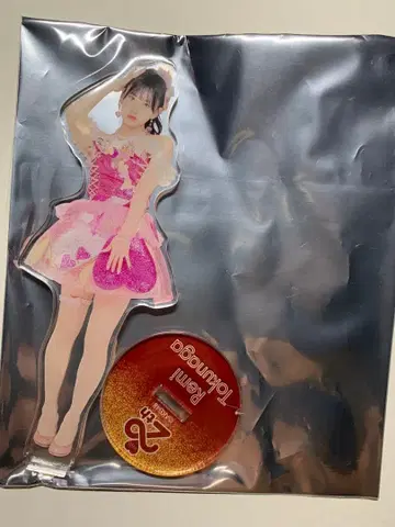 AKB48 토쿠나가 레이미 아크릴 스탠드
