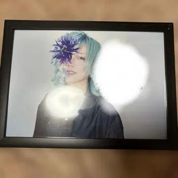 영enn의 앨리스 액자 친필 사인 한마디 포함