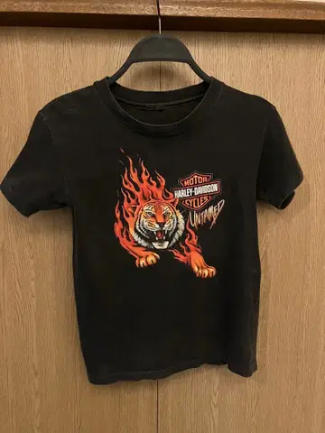 Harley-Davidson Tiger Flames T-Shirt