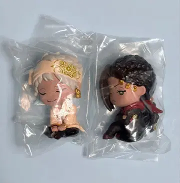 트위스테 어깨 쿵 Fig. 스칼라비아 세트