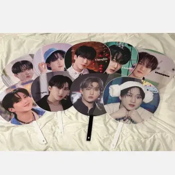 StrayKids 창빈 부채 9장 세트