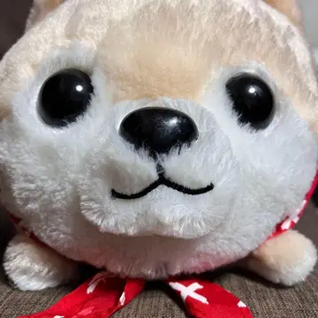 콩시바 삼형제 봉제 인형 콩시바