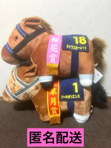 솔 오리엔스 다이와 스칼렛 폭신폭신 BIG 2개 세트