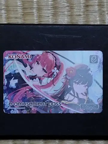 e-amusement pass 홍인 & 연인