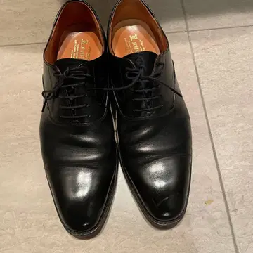 스코치 그레인 스트레이트 팁 26.5cm