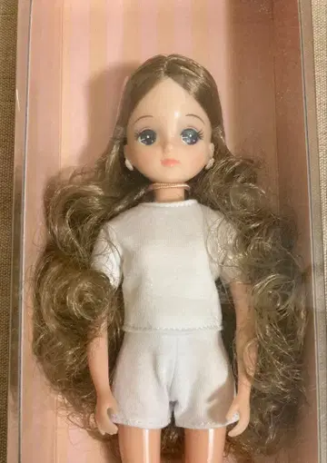 키라짱 V4 2022년 니혼바시 BASIC 모델 12796D